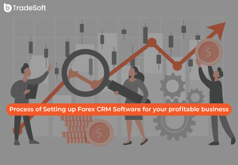 Process of Setting up Forex CRM Software for your profitable business