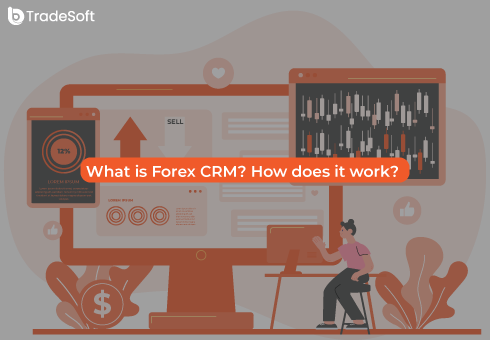 What is Forex CRM? How does it work?